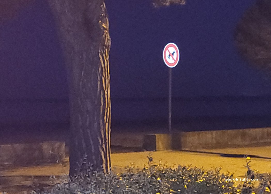 (33121) Carcans - Promenade du Front de Lac — foto 2