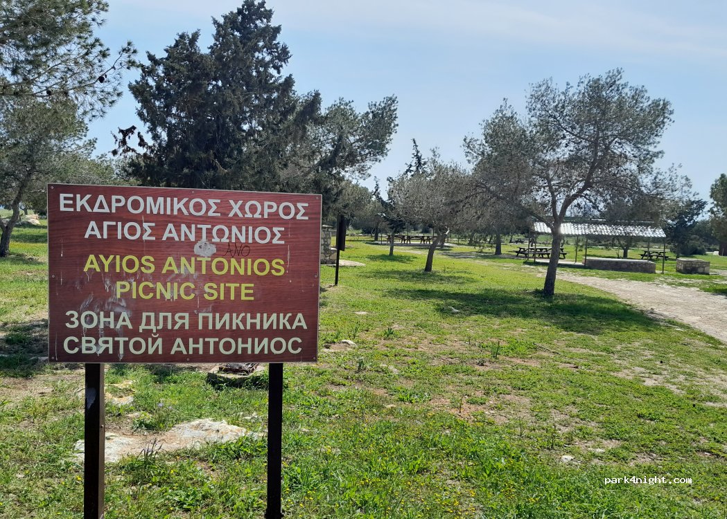 (5330) Ayia Napa - — foto