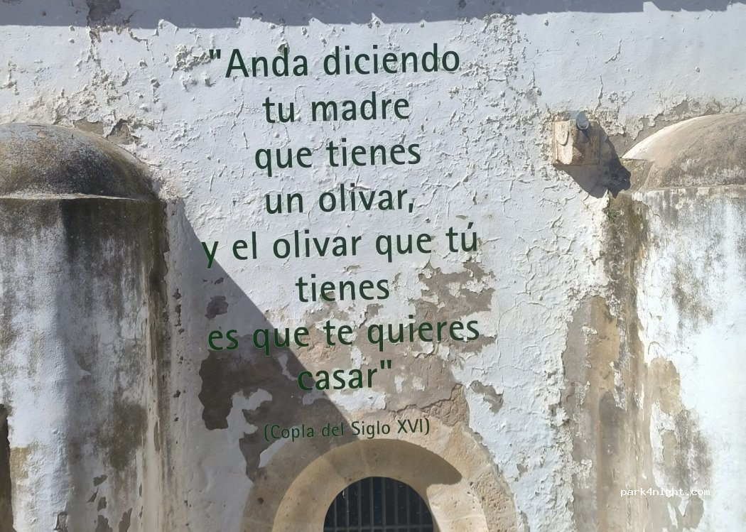 (23629) Baeza - Cam. de la Laguna — foto