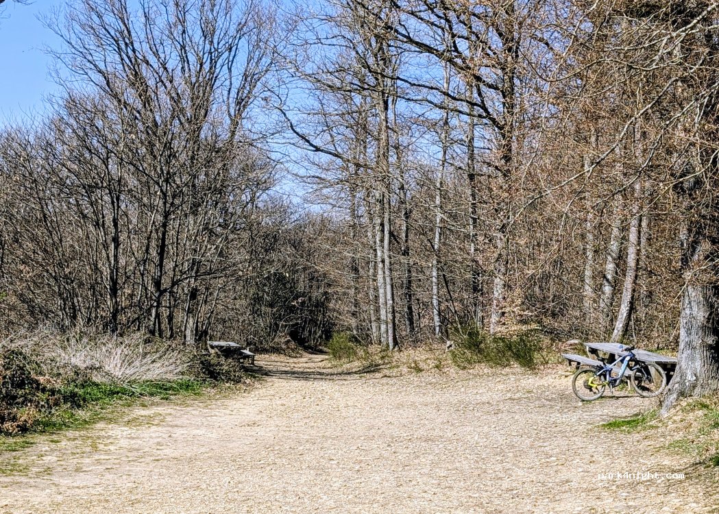 (38940) Bessins - Route de la Trappe — foto 3