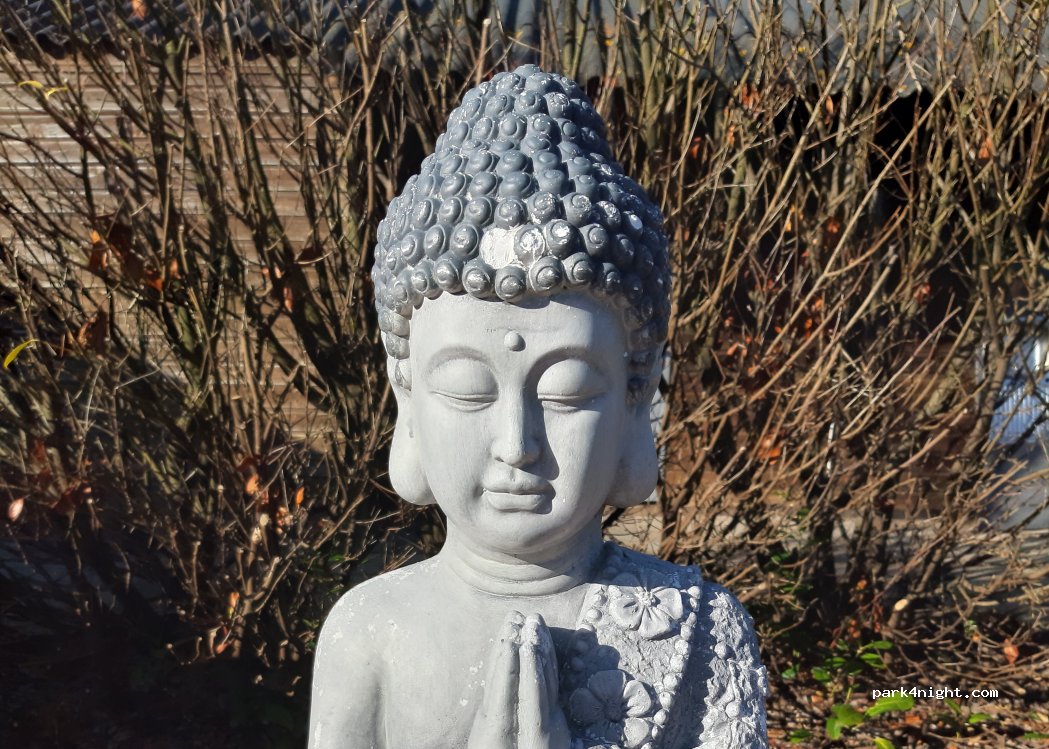 Camping Zen Ranch — foto