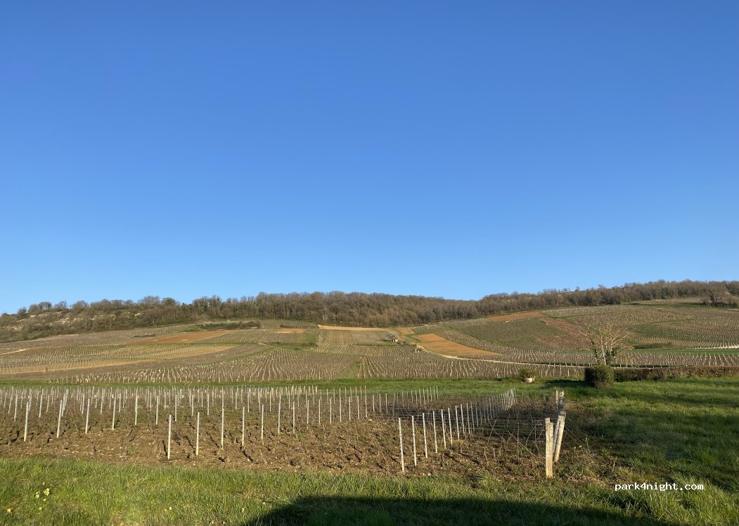 (71390) Saules - Chemin des Plets — foto