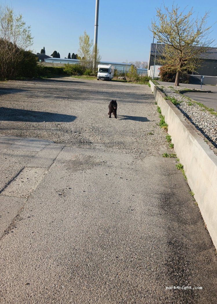 (31120) Portet-sur-Garonne - Boulevard de l'Europe — foto