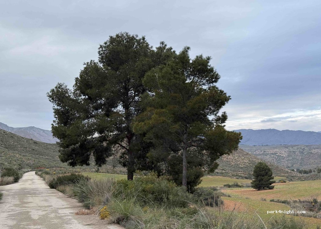 (02420) Hellín - Unnamed Road — foto 2