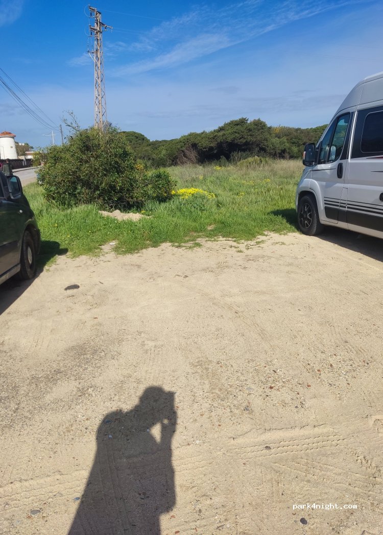 (11159) Barbate - Pulpo — foto 2