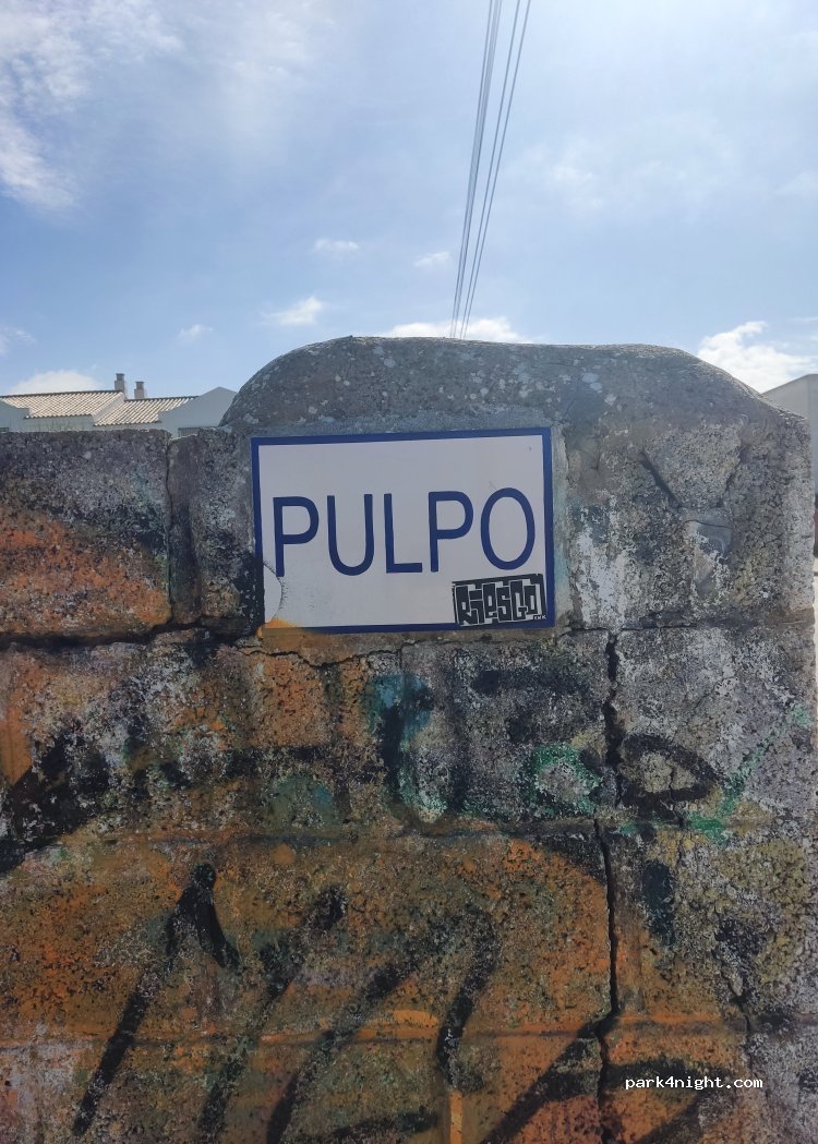 (11159) Barbate - Pulpo — foto 4