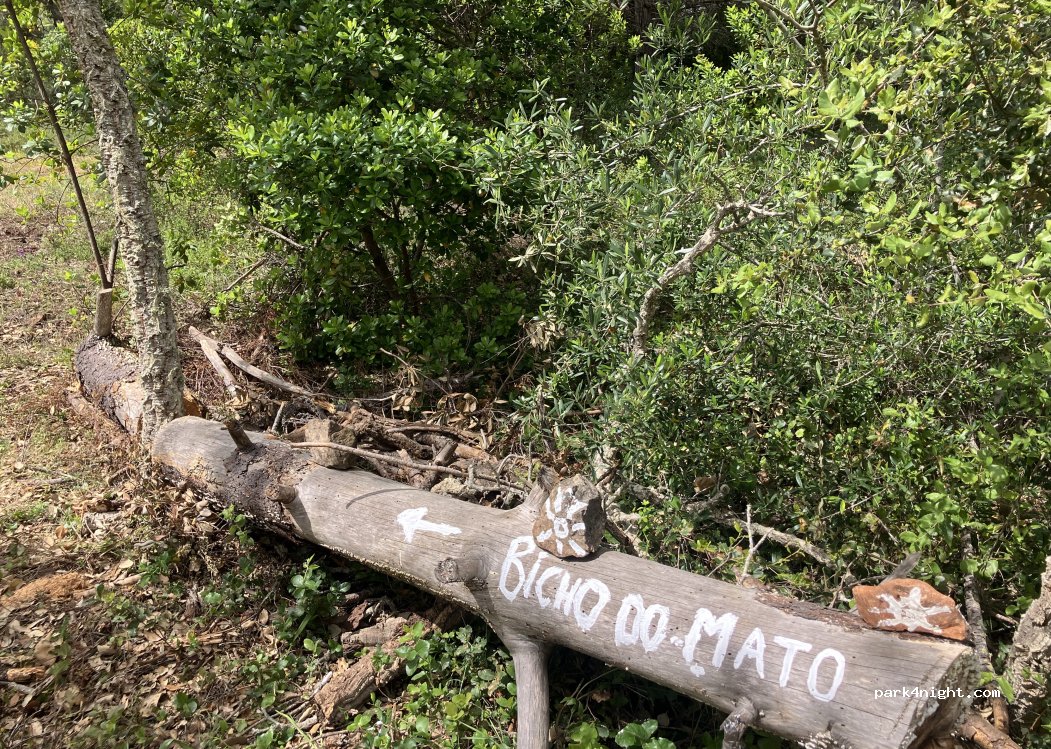 (8600-013) Barão de São João - Lagoa da Rosa — foto 3