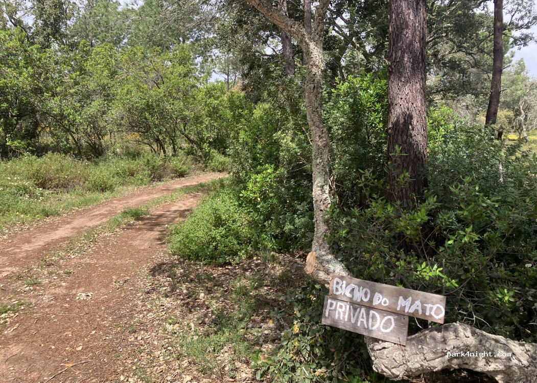 (8600-013) Barão de São João - Lagoa da Rosa — foto 4