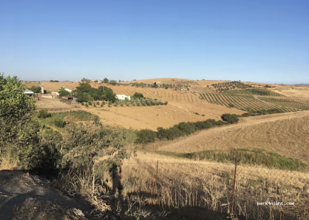 Colibri Farm — foto 3