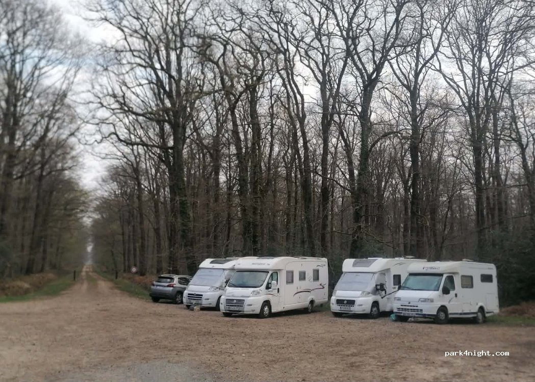 (18110) Allogny - Rte Forestiere du Long Lac — foto