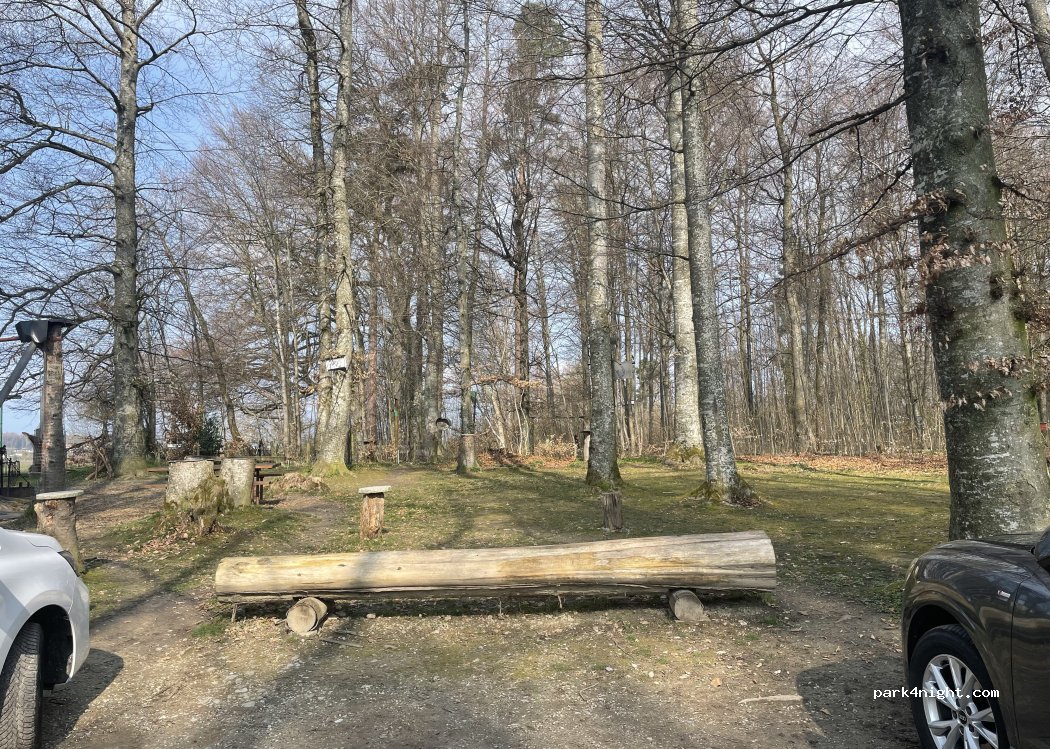 (1794) Murten - Gruse — foto 4