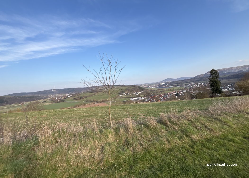 (36269) Philippsthal - Am Birkenstrauch — foto