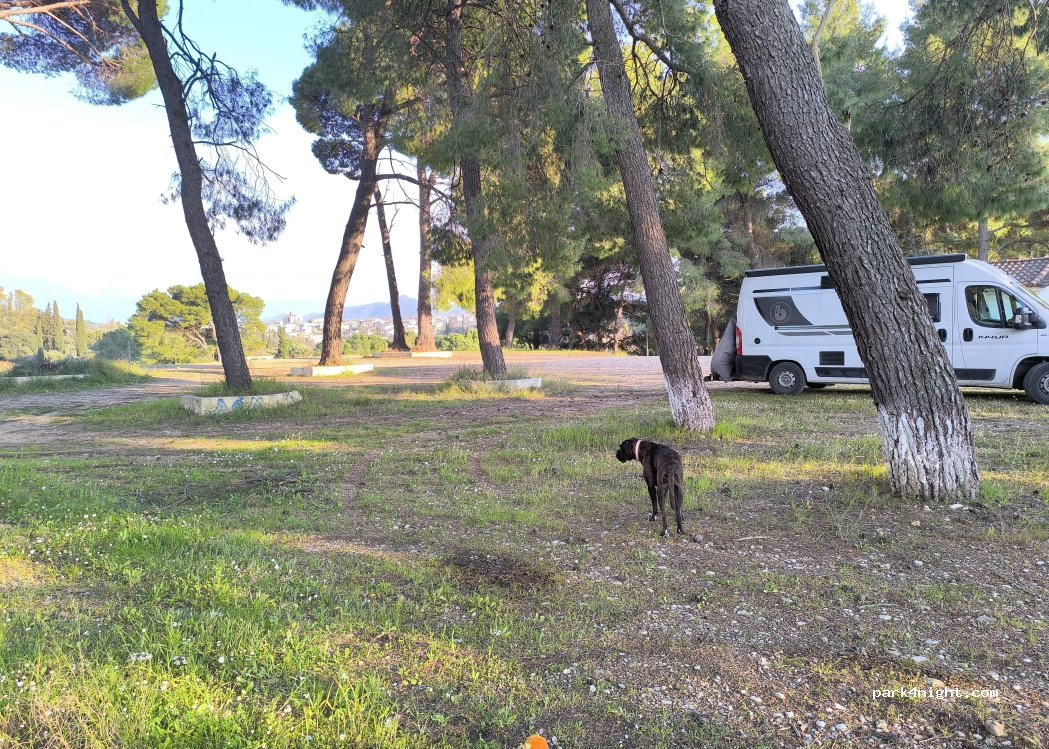 (27058) Makrisia - — foto