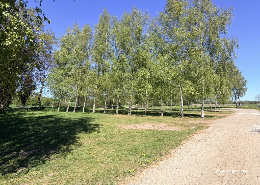 (25486) Alveslohe - Börgerskamp — foto 2