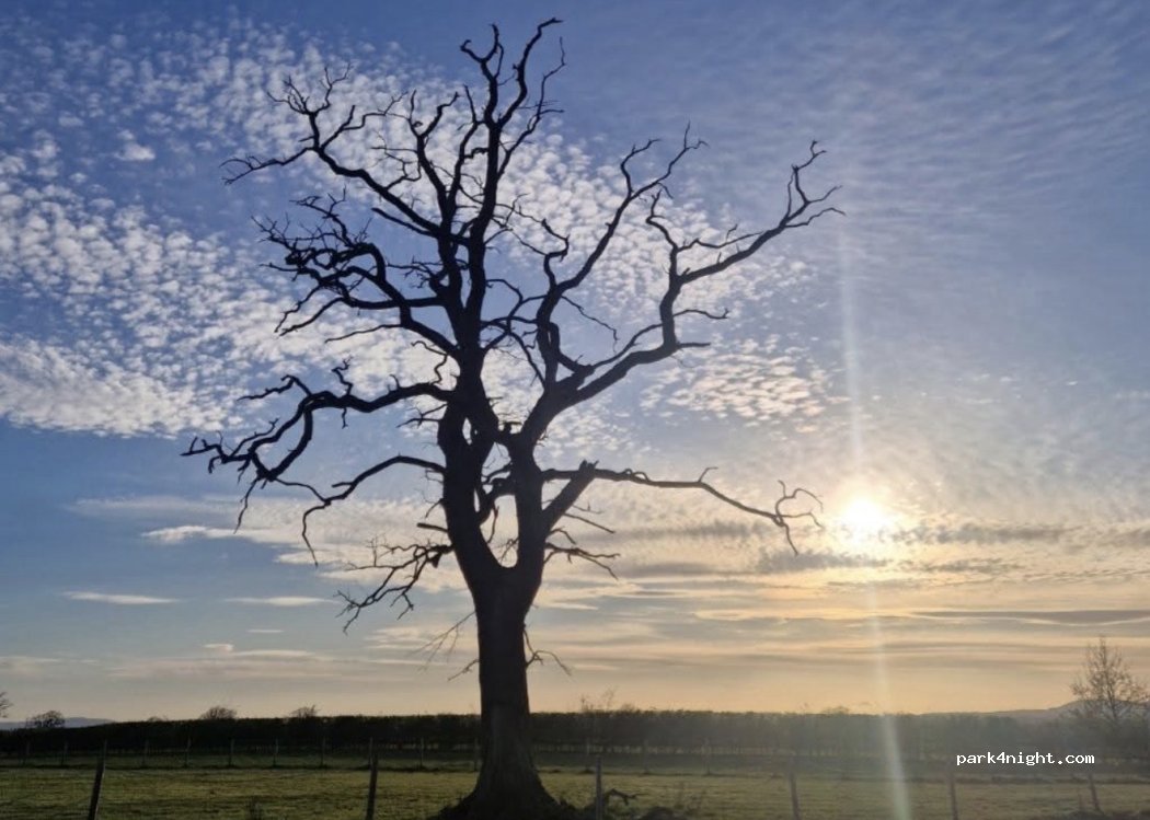 (WV8 1RJ) South Staffordshire - Harriets Hayes Road — foto
