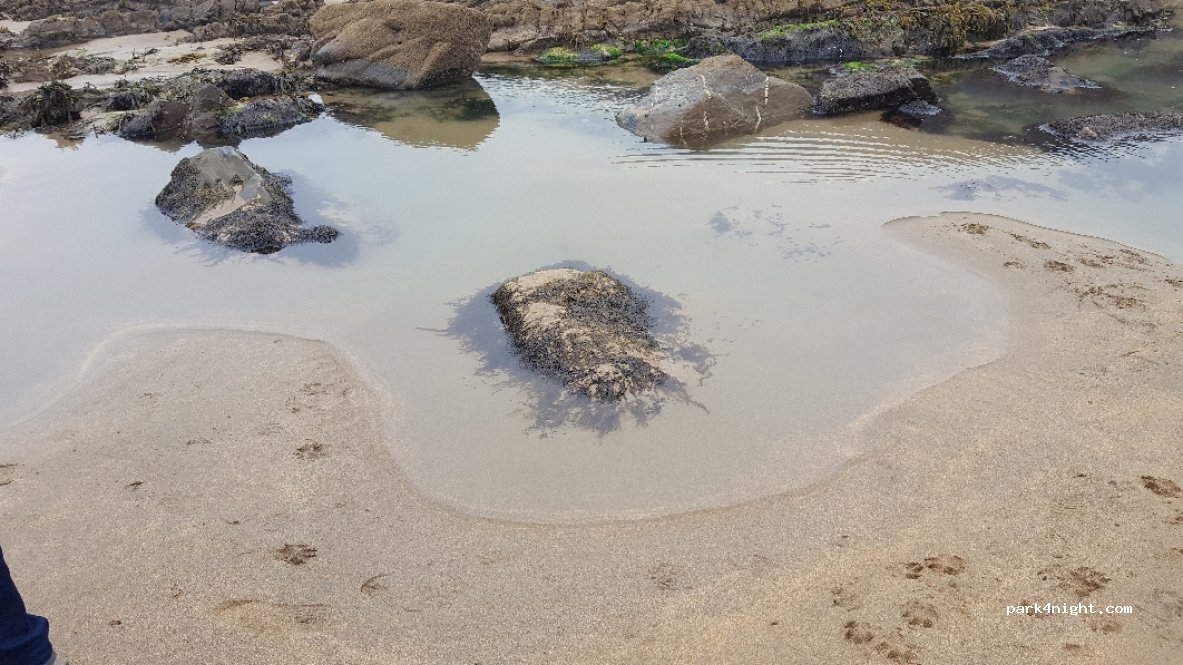 (EX23)  - South West Coast Path — foto 4