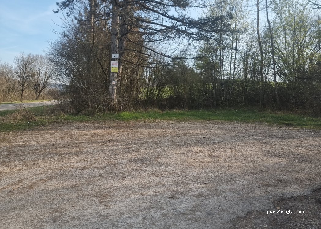 (01580) Samognat - D 18 — foto