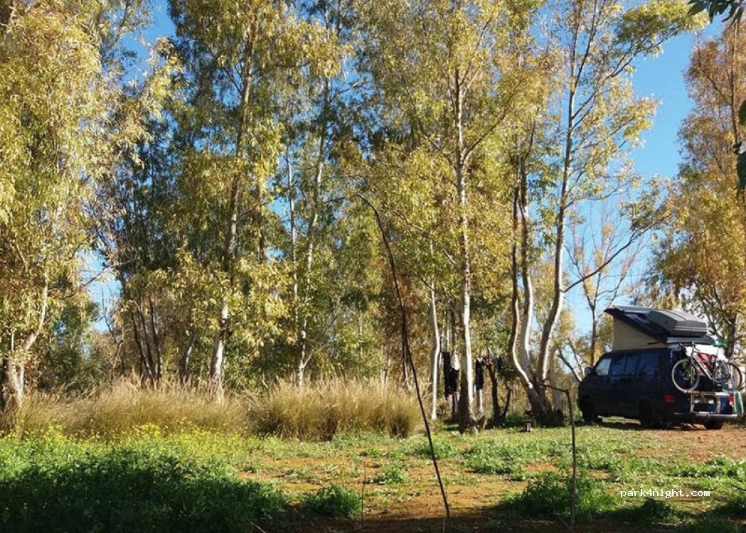 Alojamiento Rural Huerta La Cansina — foto 4