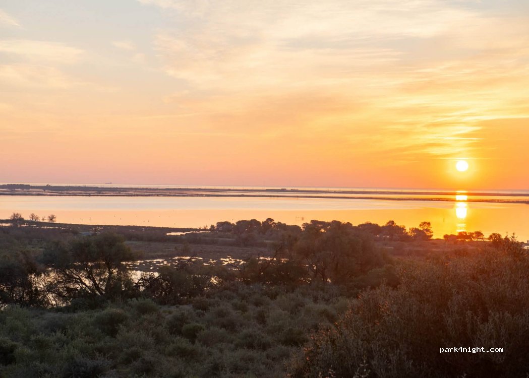 Terrain vue mer - La Palme van et camping-car — foto 2