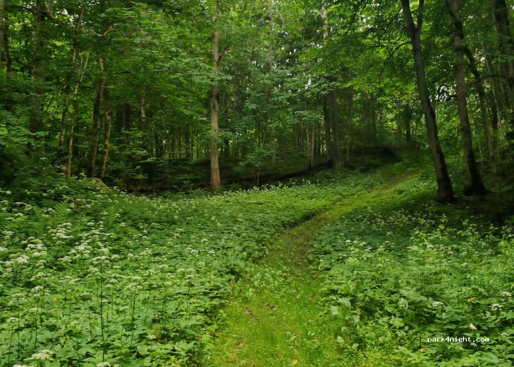Mõedaku spordibaas — foto 2