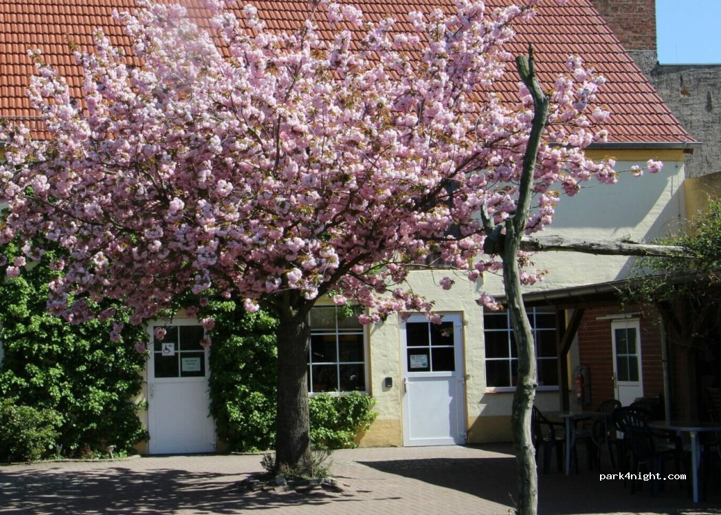 Reiter- und Erlebnisbauernhof Groß Briesen — foto
