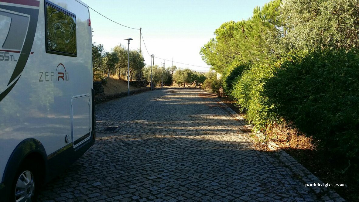 (7960) Vila de Frades - N258 — foto