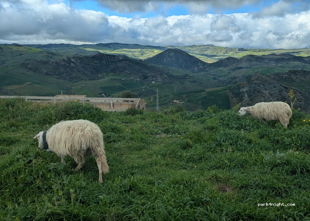 (94013) Leonforte - Via Calatafimi — foto