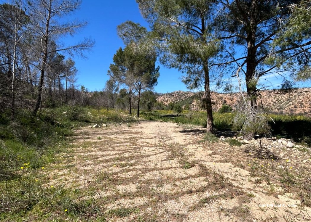 (43592) Xerta - C-12 — foto