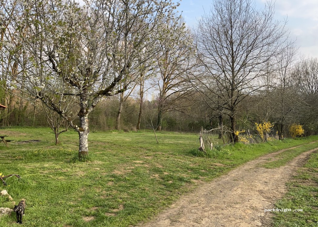 (46300) Masclat - 175 chemin de la Flour d'Alis — foto