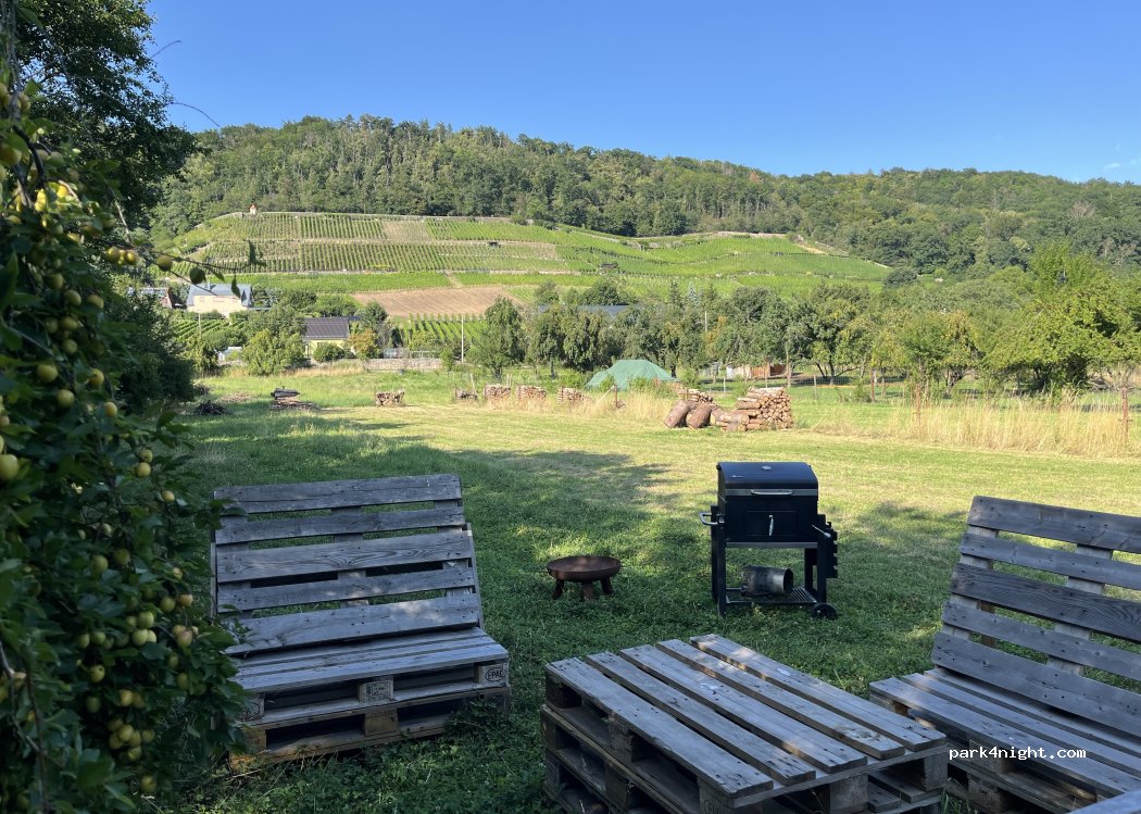 Weinbergwiese Pillnitz — foto 2