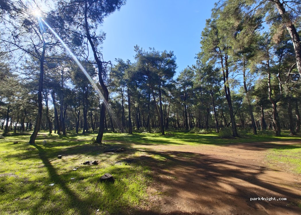 (07140) Döşemealtı - D350 — foto