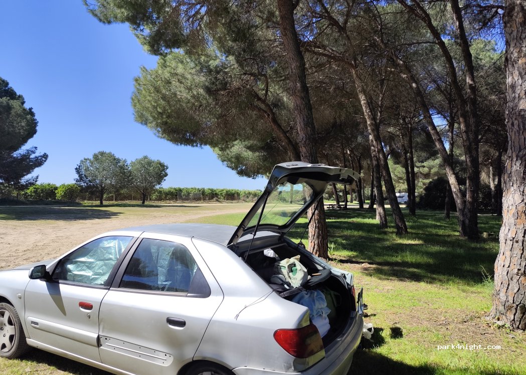 (41849) Aznalcázar - Cordel del Camino de los Playeros — foto