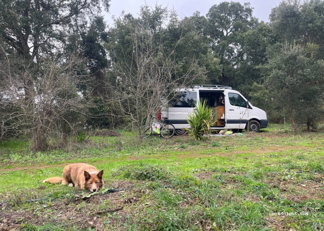 (7630-174) Relíquias - Lug Lameiros Caixa — foto