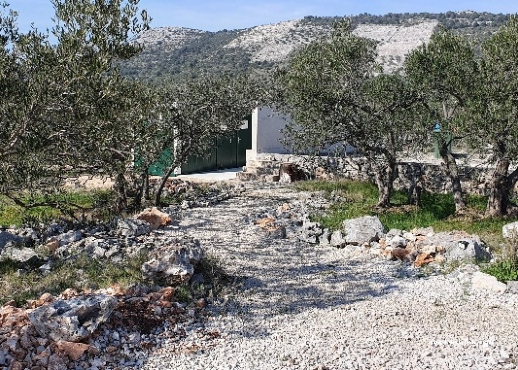 Paradies-Li — foto 2