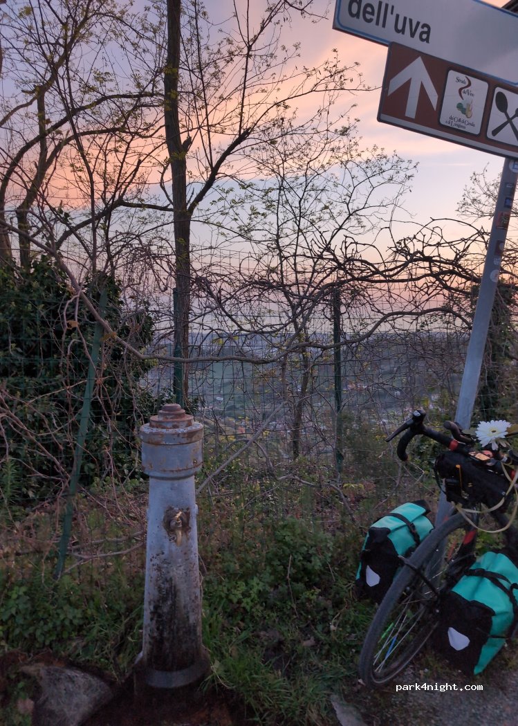(54100) Massa - Via dell'Uva — foto