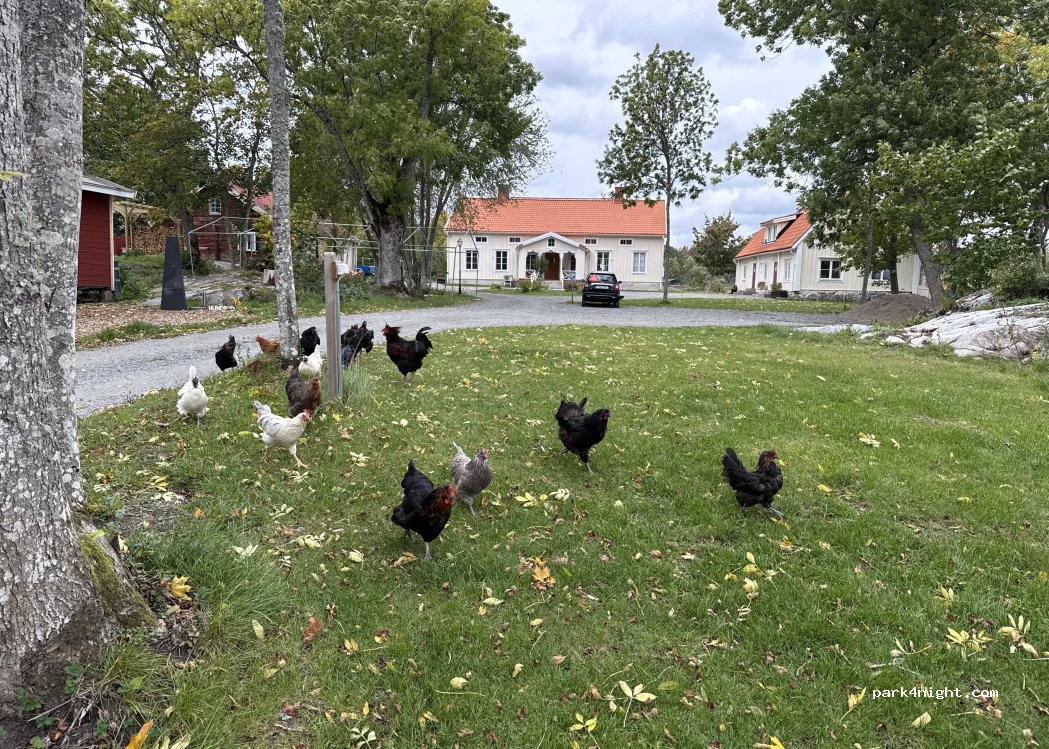 (741 92) Vassunda - Alsike prästgård 15 — foto 2