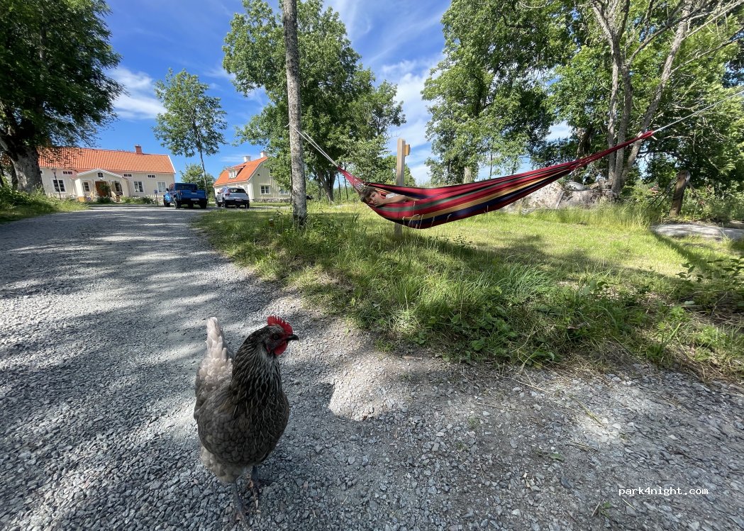 (741 92) Vassunda - Alsike prästgård 15 — foto 4