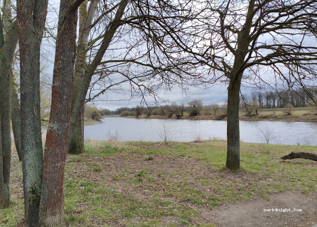 (39217) Schönebeck (Elbe) - Unnamed Road — foto 2