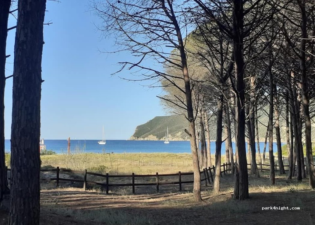 Parco delle Dune — foto 2
