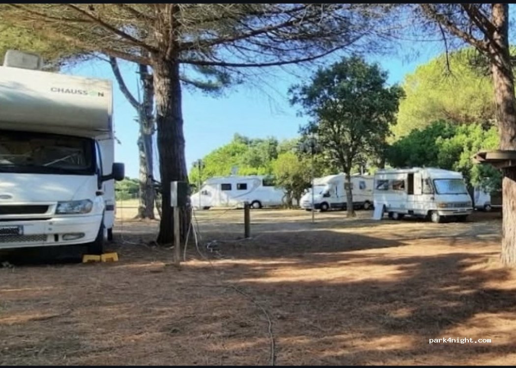 Parco delle Dune — foto 4