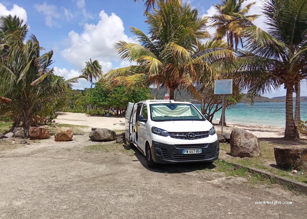 (97228) Sainte-Luce - Rue de Gros Raisin — foto