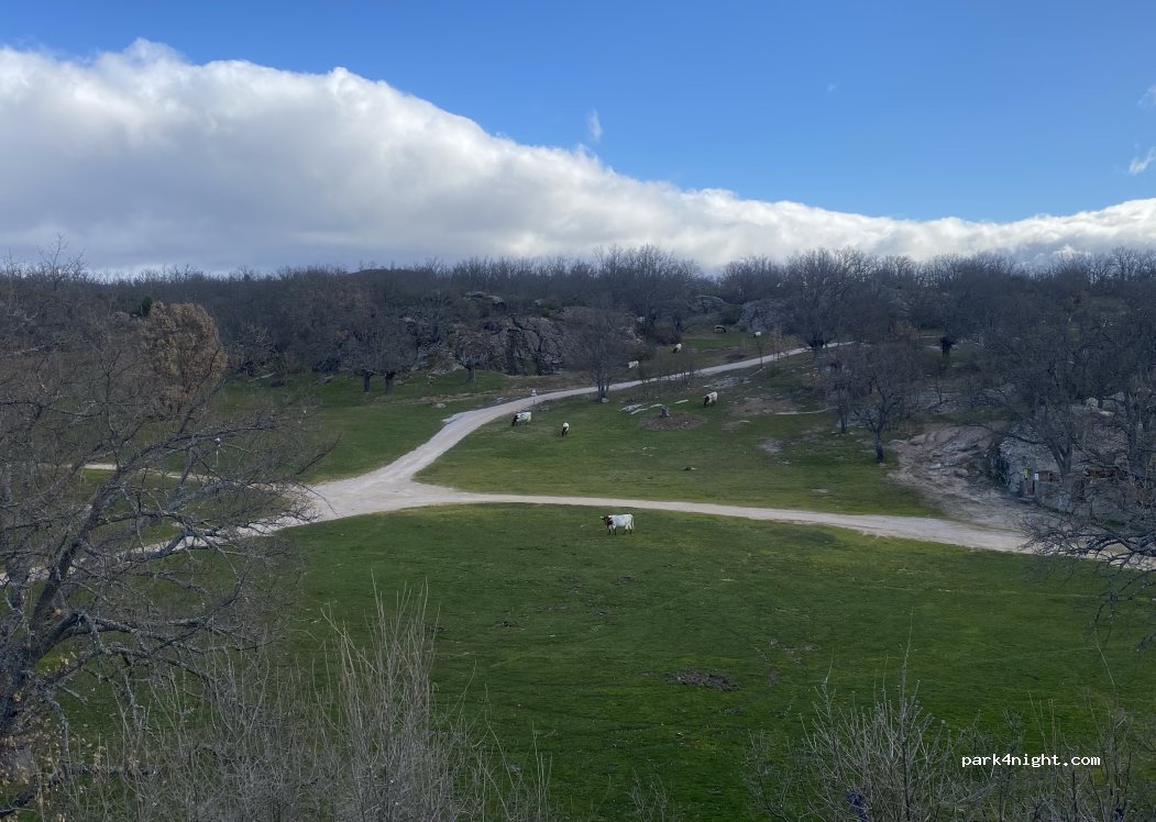 (42190) Soria - Unnamed Road — foto