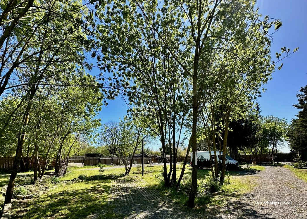Le Jardin 88 — foto 2