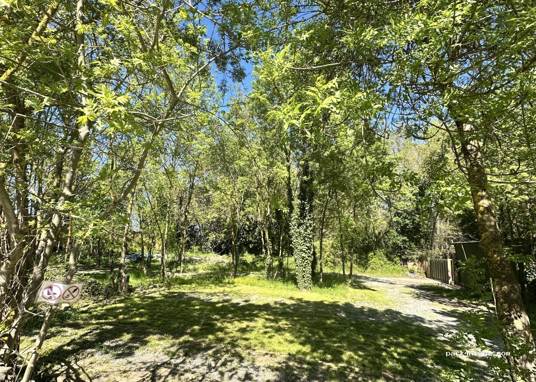 Le Jardin 88 — foto 4