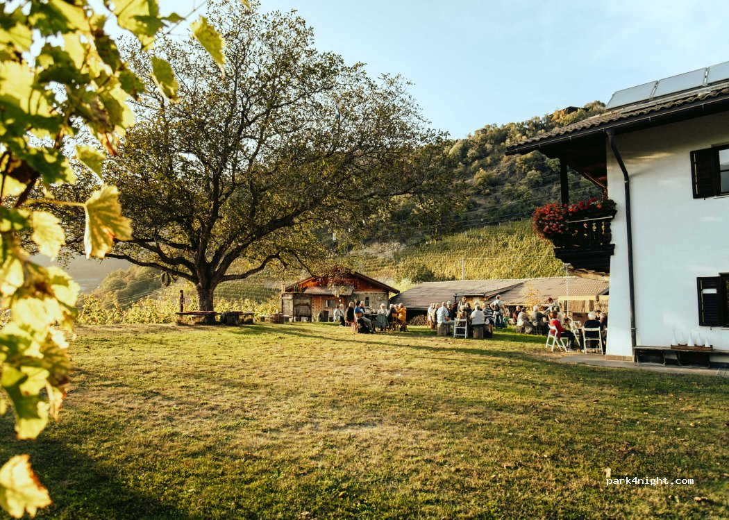 Bioweingut Zöhlhof — foto