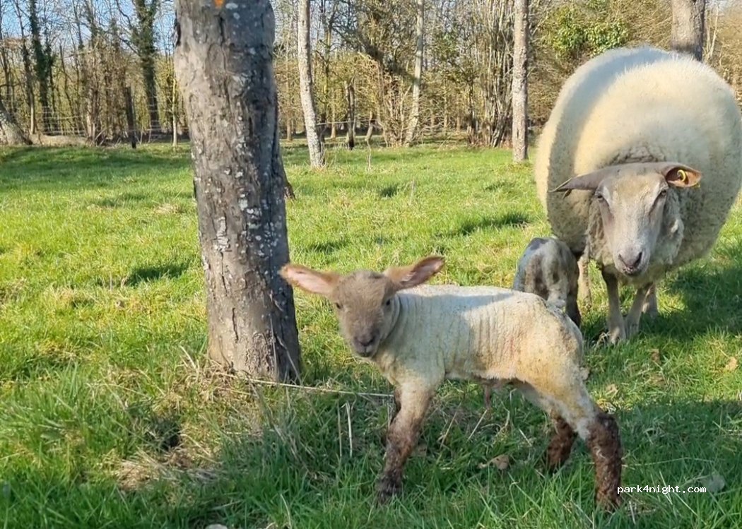 Domaine de la Godinière — foto 4