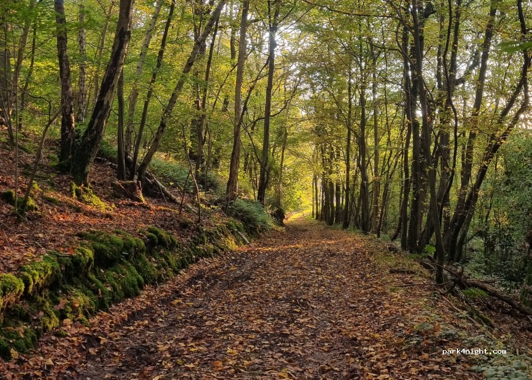 Domaine de la Godinière — foto 5