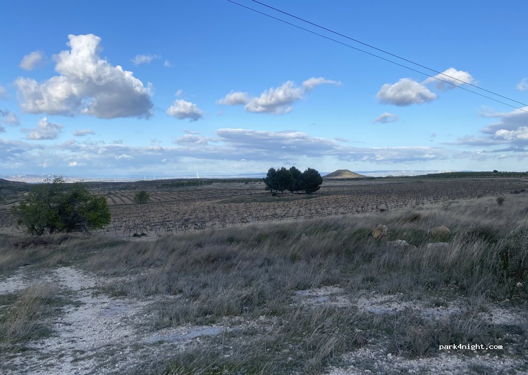 (50540) Borja - CV-606 — foto 2