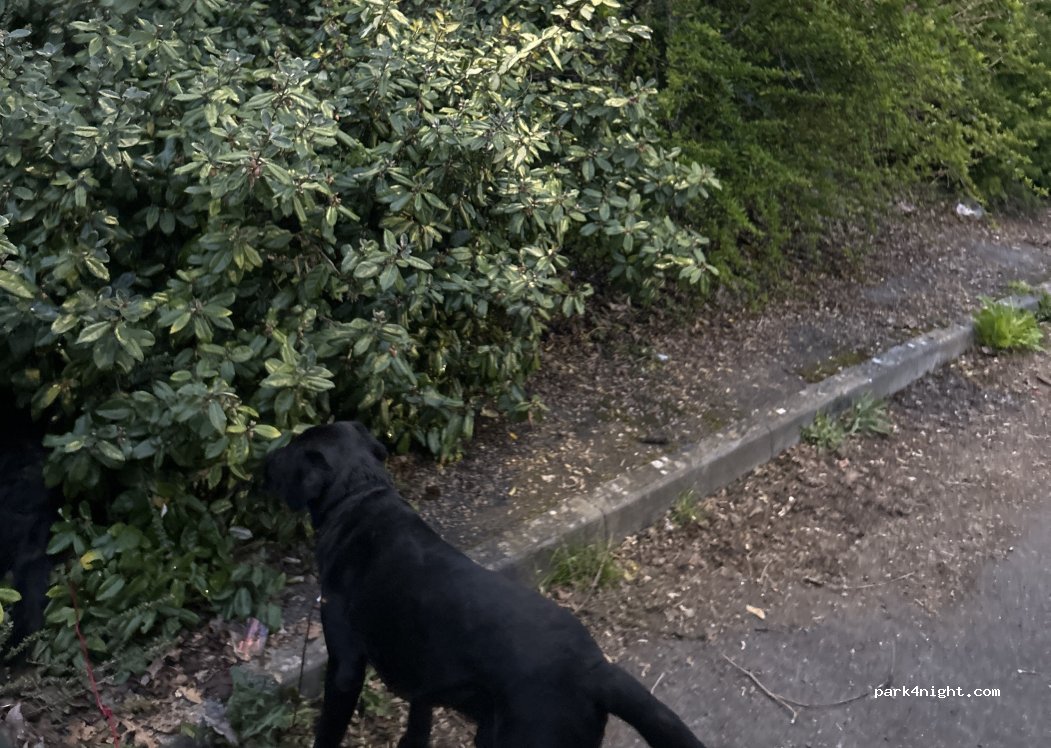 (BA11 4JF) Mendip - Wallington Way — foto