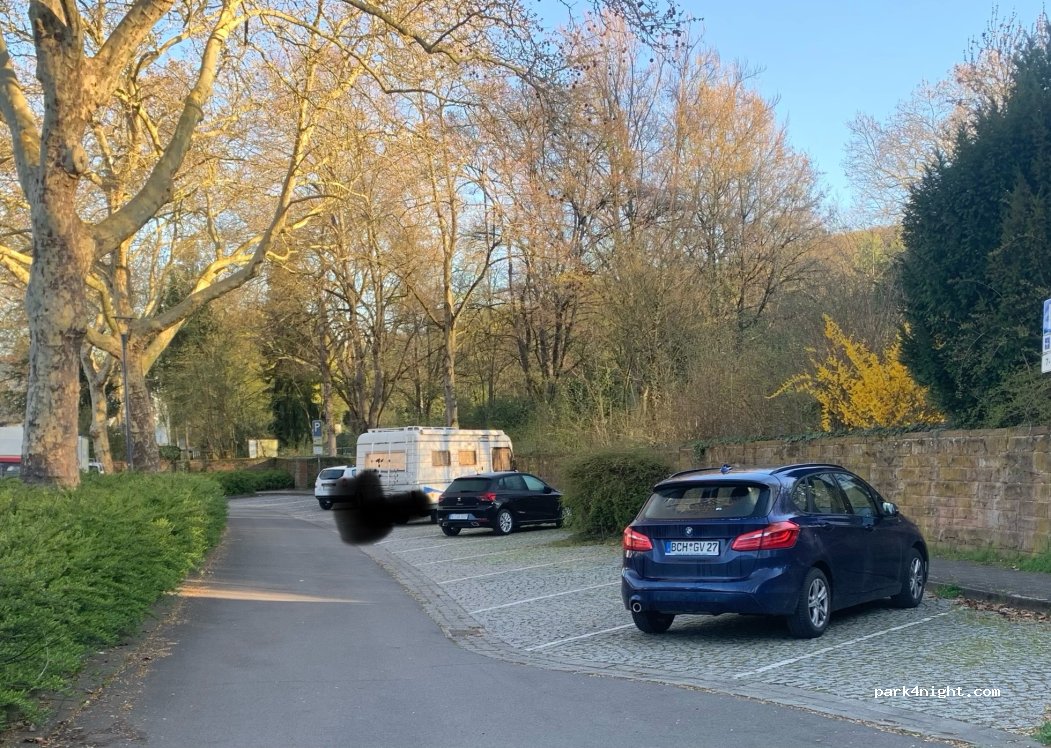 (69121) Heidelberg - Dallgarten — foto 2
